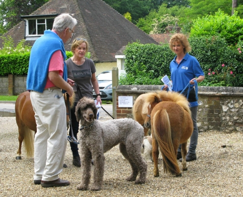 Pet Service June 2016