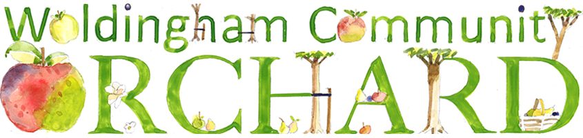 Orchard logo