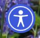 Accessibility Tools button