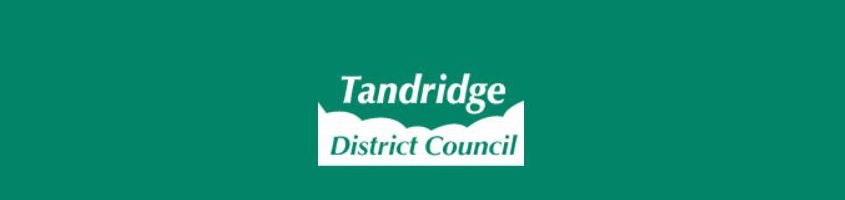 Tandridge District Council logo
