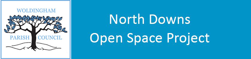 North-Downs-Open-Space-logo v4 North-Downs-Open-Space-logo version 4